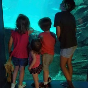 Meet your Posher, Cathy